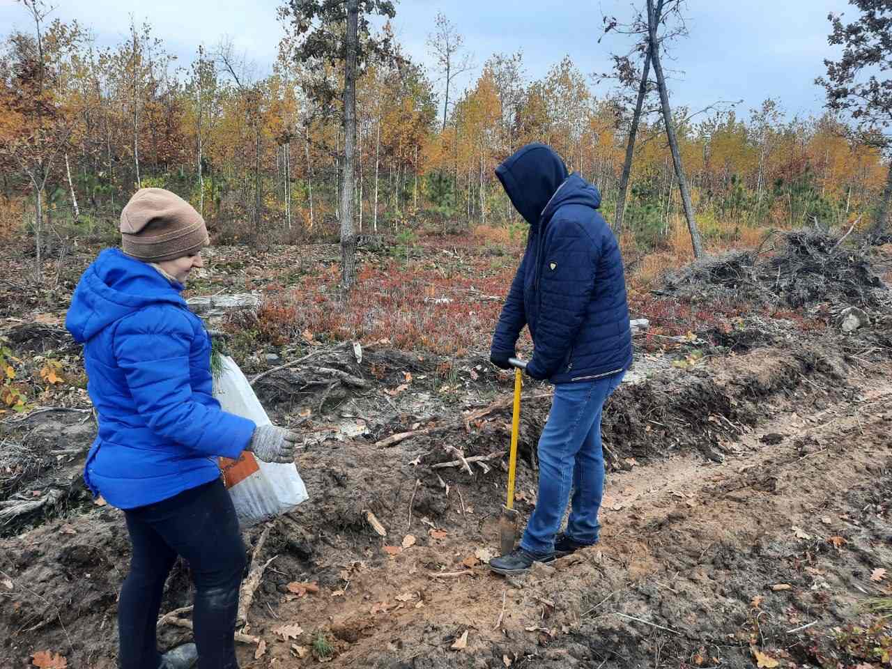 Акция по посадке леса "Дай лесу новае жыццё" Акция по посадке леса "Дай лесу новае жыццё"